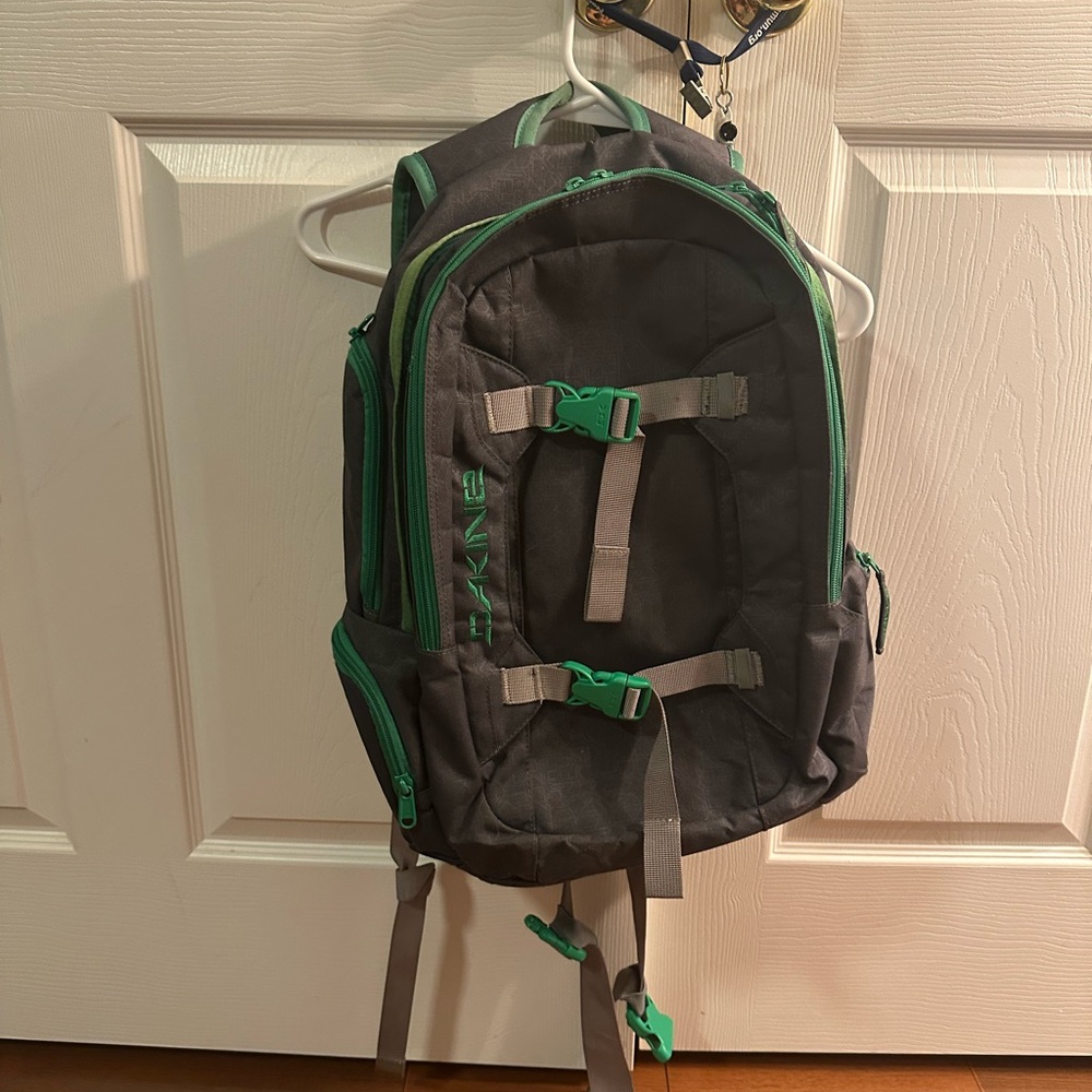 Dakine Gray and Green Backpack